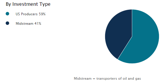 NDP Portfolio Investment Type