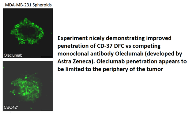 improved tumor presentation