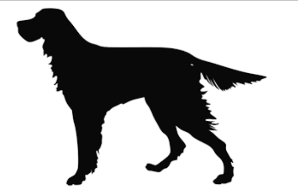 F500-IL23 (2) OCT 23-24 Open source dog art DDC7 from dividenddogcatcher.com