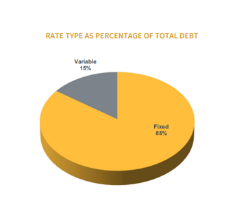 Floating Rate Debt